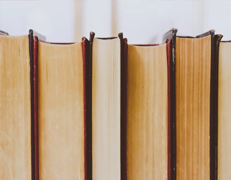 Books lined up on a shelf